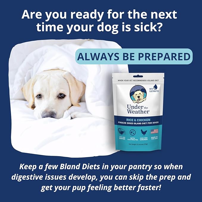 Under the Weather Bland Diet for Dogs | Easy to Digest for Sick Dogs | Always Be Ready | Contains Electrolytes - All Natural Freeze Dried 100% Human Grade Meats | 1 Pack - Chicken, Rice - 6oz