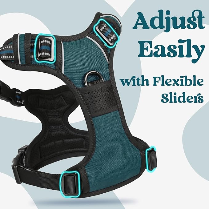 rabbitgoo Dog Harness Medium Sized, No Pull Pet Harness with 3 Buckles, Adjustable Soft Padded Dog Vest with Instant Control Handle, Easy Walking Reflective Pet Vest for Medium Dogs, Blue Coral, M