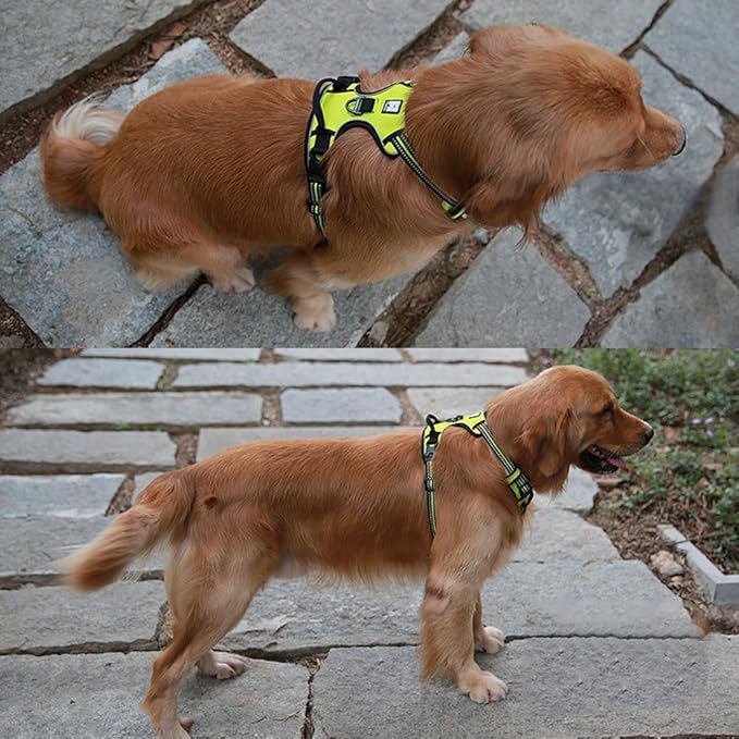 OLizee® New No Pull Dog Harness Outdoor Adventure Reflective Markings Pet Vest with Handle Adjustable Protective Nylon Walking Pet Harness Variety of Sizes and Colors,Green XL