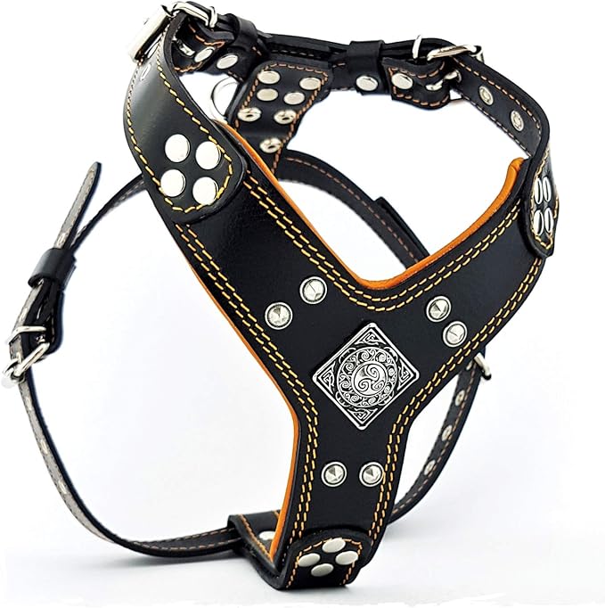 Bestia EROS Black Orange Big Dog Chest Plate Leather Harness. Padded. Handmade in Europe