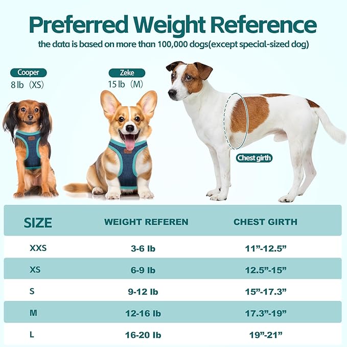 Dog Harness with Multifunction Dog Leash,No Pull Reflective Step-in Harness for Soft Adjustable No Choke Escape Proof,Easy Walk Dog Harness for Puppy,Small Dogs (Blue&Green, XS