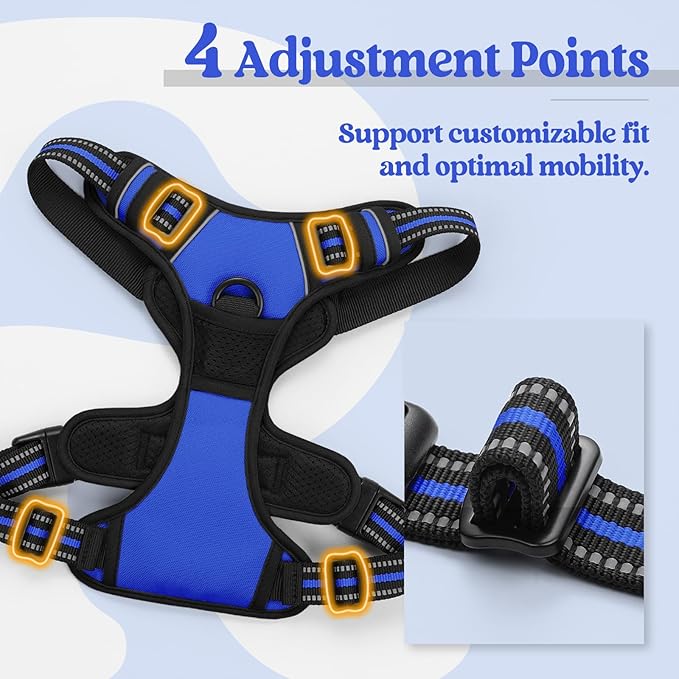 rabbitgoo Dog Harness, No-Pull Pet Harness with 2 Leash Clips, Adjustable Soft Padded Dog Vest, Reflective No-Choke Pet Oxford Vest with Easy Control Handle for Large Dogs, Dazzling Blue, XL