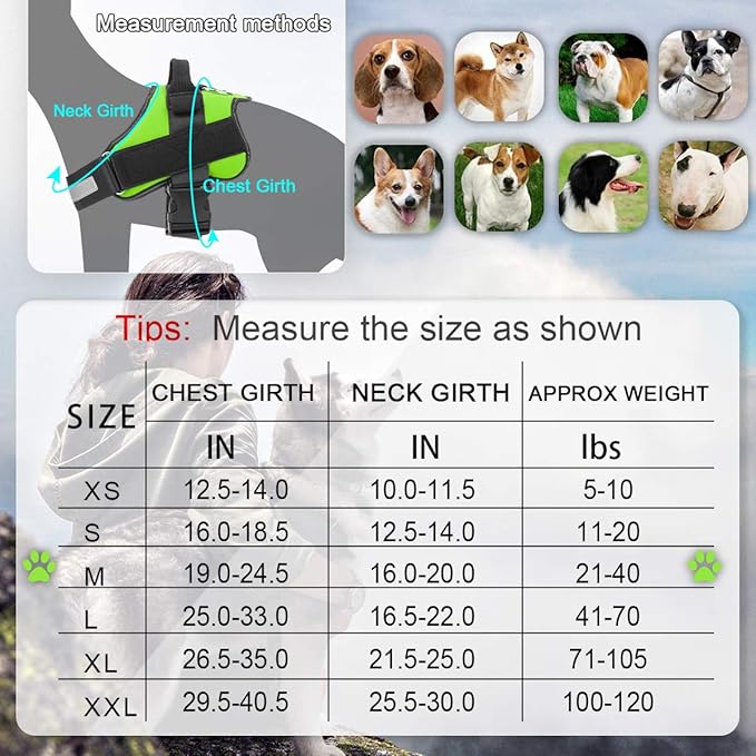 Bolux Dog Harness, No-Pull Reflective Dog Vest, Breathable Adjustable Pet Harness with Handle for Outdoor Walking - No More Pulling, Tugging or Choking (Green, M)
