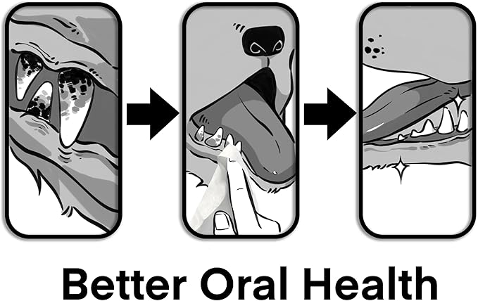 Plant-Based Dog Grooming Wipes Bundle - Dog Wipes, Ear Canal Wipes, and Adventure Pack - Hypoallergenic, Biodegradable, Fragrance-Free, Extra Thick - 180 Moist Pet Cleaning Wipes