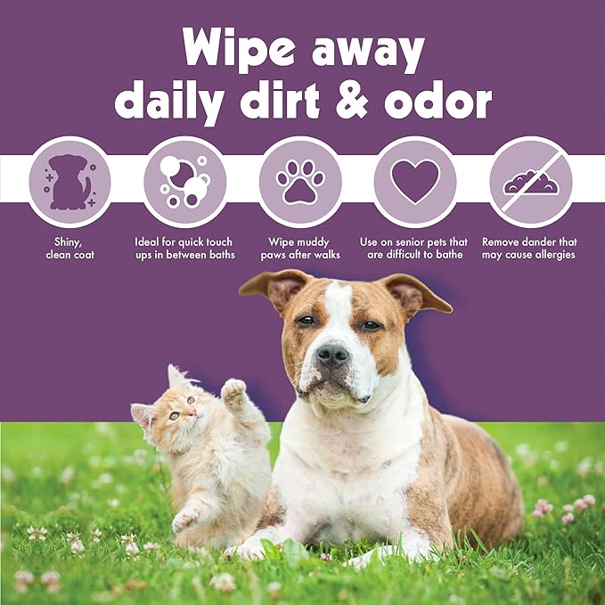 Petkin Jumbo Pet Ear Wipes, 80 Extra Moist Wipes, 2 Pack -Soothing & Deodorizing Pet Ear Cleaner to Remove Dirt, Odor, & Wax-Safe, Convenient, & Easy to Use Pet Wipes for Dogs, Cats, Puppies & Kittens