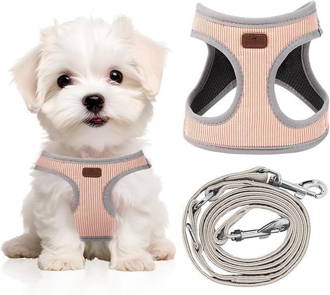 Dog Harness with Multifunction Dog Leash,No Pull Reflective Step-in Harness for Soft Adjustable No Choke Escape Proof,Easy Walk Dog Harness for Puppy,Small Dogs (Pink, XS)
