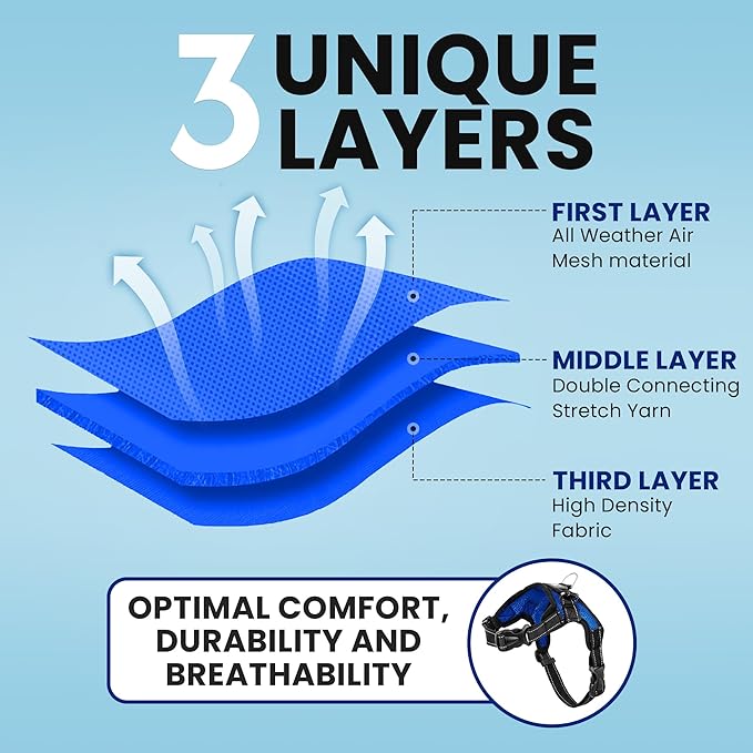 No Pull Reflective Adjustable Dog Harness with Handle- Comfortable Soft All Weather Mesh, Easy On Puppy Harness for Small Medium and Large Dogs (Blue) Large