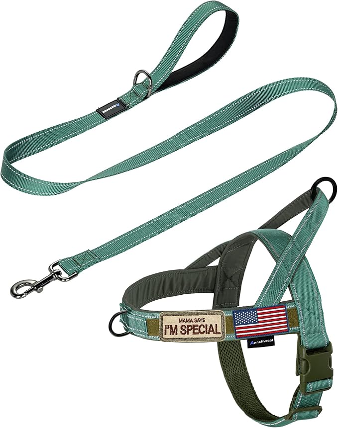 Annchwool No Pull Dog Harness with Padded Handle+5 Ft Leash,Reflective Strip Escape Proof and Quick Fit to Adjust Dog Harness,Easy for Training Walking for Small & Medium and Large Dog(Green-Set,S)