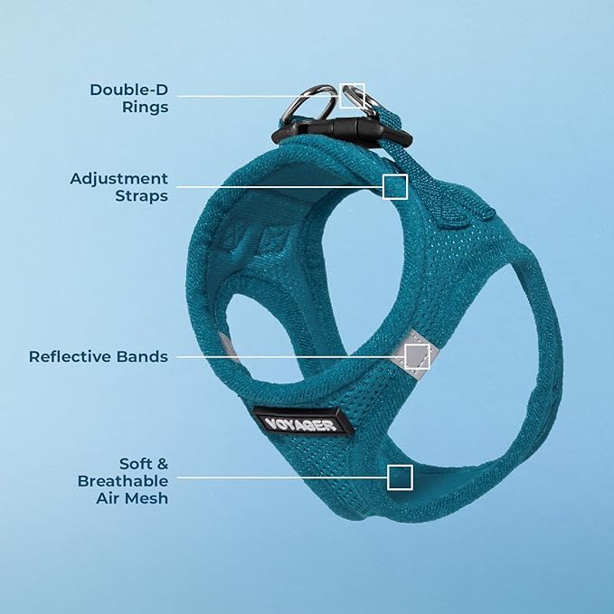 Voyager Step-in Air Dog Harness - All Weather Mesh, Reflective, No Pull Harness for Small, Medium Dogs, Cats - Secure with Hook & Loop Fastener, Buckle, Double D-Rings - Turquoise, M