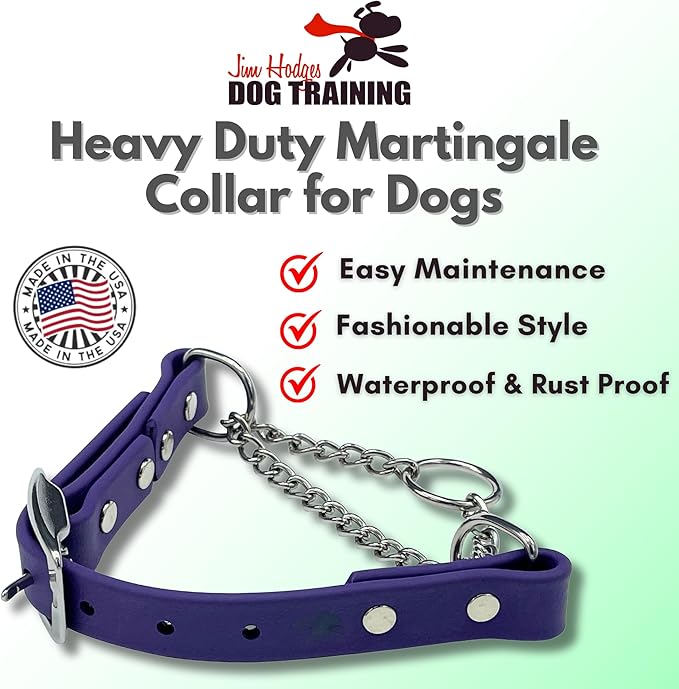 Martingale Collar for Dogs, Biothane, Stainless Steel Hardware, No Pull, Made in The USA, Professional Grade, Small, Purple