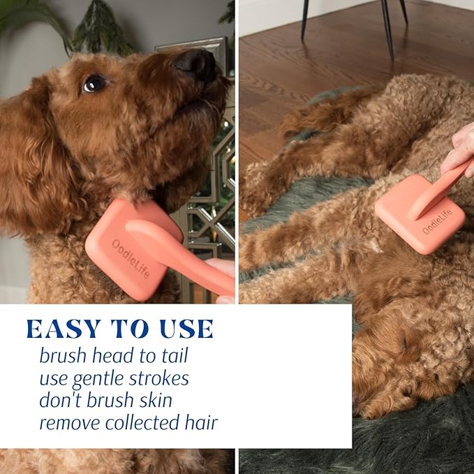 Slicker Brush for Grooming Shedding Medium & Long Haired Dogs - Pin Brush for Poodles, Goldendoodles and Doodle Breeds (Large)