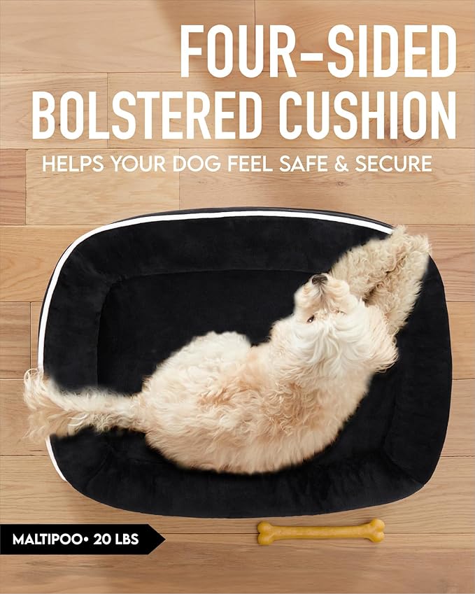 OhGeni Orthopedic Dog Bed for Medium Dogs, Dog Couch Design with Egg Foam Support, Removable, Washable Plush Cover and Non-Slip Bottom with Four Sided Bolster Cushion (Black)