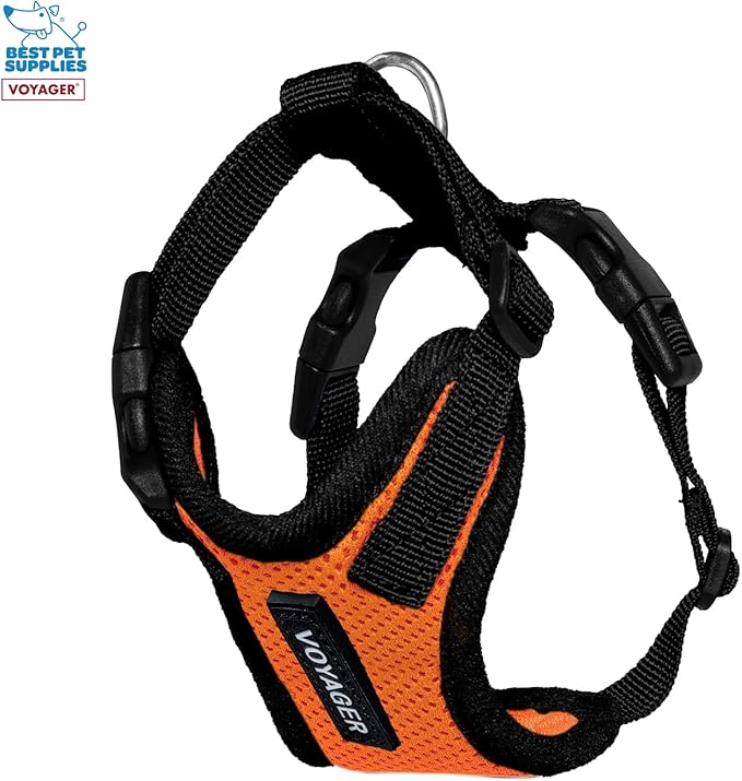Voyager Step-in Lock Adjustable Cat Harness w. Cat Leash Combo Set with Neoprene Handle 5ft - Supports Small, Medium and Large Breed Cats by Best Pet Supplies - Orange/Black Trim, XXXS