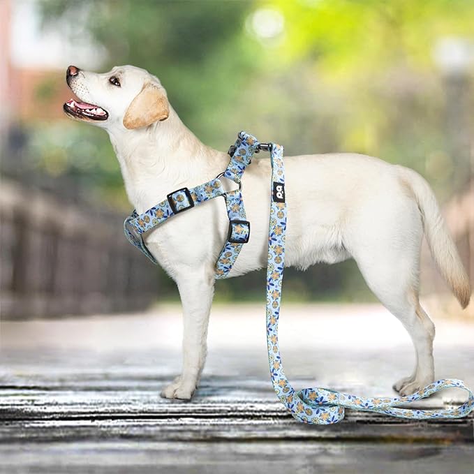 QQPETS Dog Harness Leash Set Adjustable Heavy Duty No Pull Halter Harnesses for Small Medium Large Breed Dogs Back Clip Anti-Twist Perfect for Walking