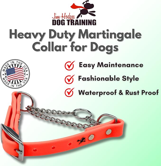Martingale Collar for Dogs, Biothane, Stainless Steel Hardware, No Pull, Made in The USA, Professional Grade, Large, Orange