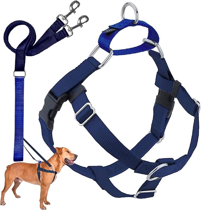 2 Hounds Design Freedom No Pull Dog Harness | Comfortable Control for Easy Walking |Adjustable Dog Harness and Leash Set | Small, Medium & Large Dogs | Made in USA | Solid Colors | 1" MD Navy