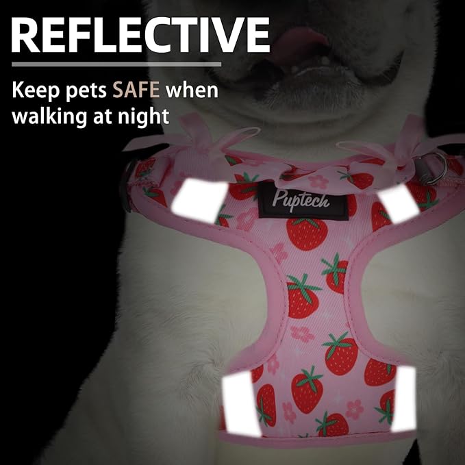 PUPTECK No Pull Dog Harness and Leash Set Reflective No Choke Step in Puppy Halter for XS Small and Medium Sized Dogs, Pink, Printed Fabric, XS
