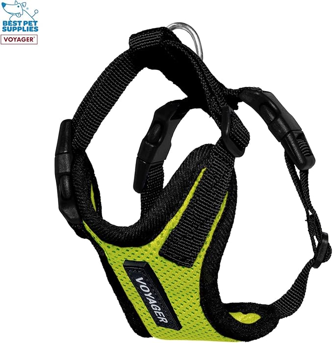 Voyager Step-in Lock Adjustable Cat Harness w. Cat Leash Combo Set with Neoprene Handle 5ft - Supports Small, Medium and Large Breed Cats by Best Pet Supplies - Lime Green/Black Trim, XXS