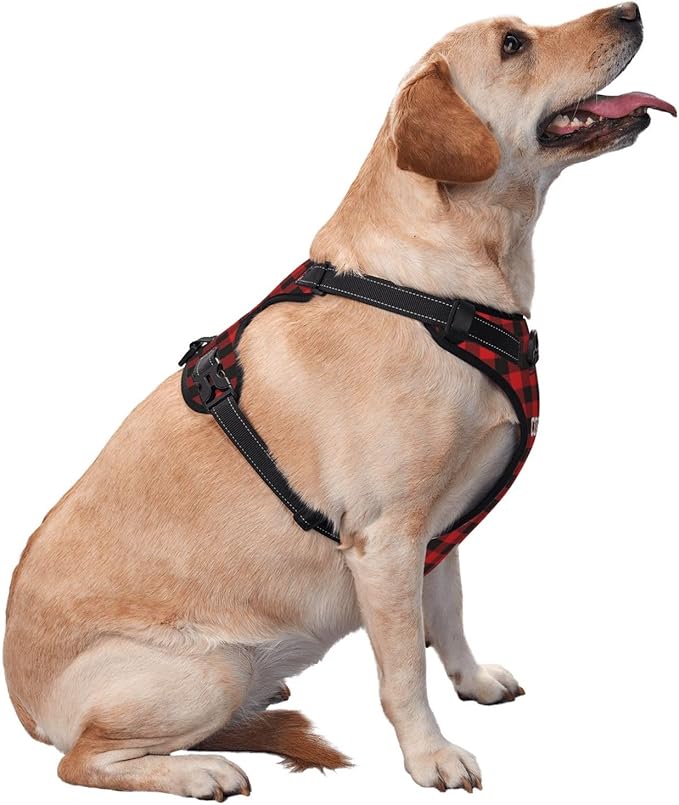 Personalized Dog Vests Customization for Puppy Medium Large Sized Dogs, Customize No Pull Dog Harnesses with Easy and Adjustable Wearing Buckles, Darkcyan, L