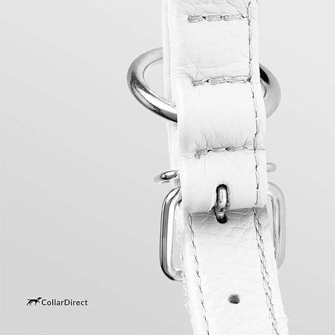 CollarDirect Rolled Leather Dog Collar, Soft Padded Round Puppy Collar, Handmade Genuine Leather Collar Dog Small Large Cat Collars 13 Colors (15-19 Inch, White Textured)