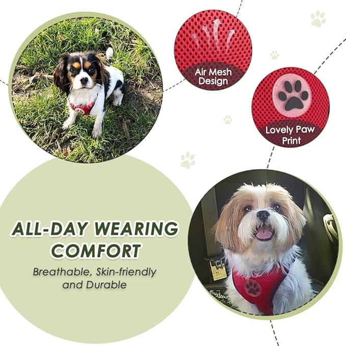 SlowTon Dog Seat Belt Harness for Car, Dog Car Harness Adjustable Mesh Breathable & Dog Seatbelt Safety Tether with Elastic Bungee for Small Medium Large Pets(Red, Single Clip, L)