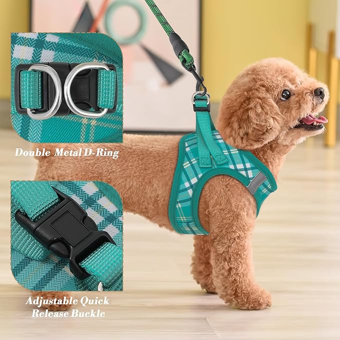 Athena Collection Small Dog Harness with 5 ft Leash, Step-in Dog Harness Leash Set Small No Pull Dog Vest Harness with Reflective Strips Adjustable Velcro, Easy Walk Puppy Harness, Green