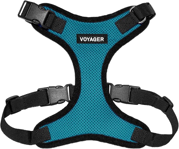 Voyager Step-in Lock Pet Harness - All Weather Mesh, Adjustable Step in Harness for Cats and Dogs by Best Pet Supplies - Turquoise/Black Trim, L