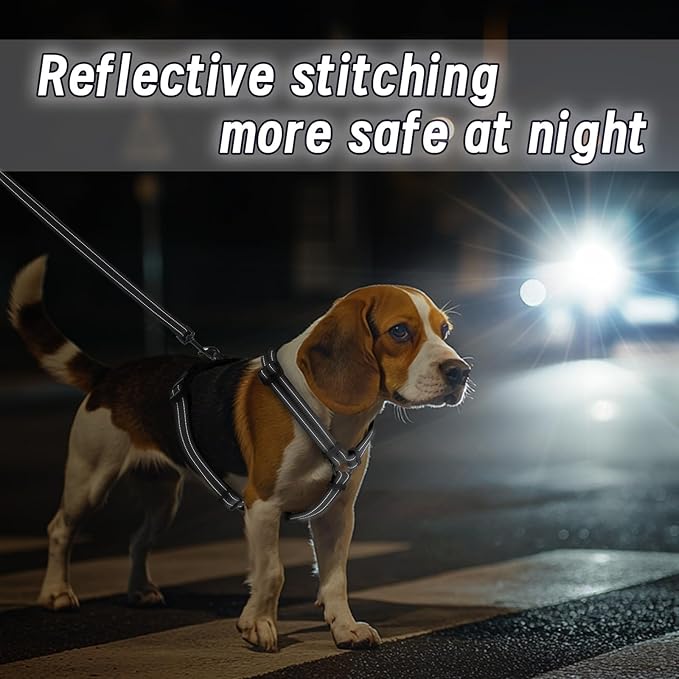 Dog Harness Leash Set, No Pull Adjustable Halter Cute Comfort Padded Handle for Medium Sized Large Small Dogs Walking Training Running with Reflective（Large,Black）