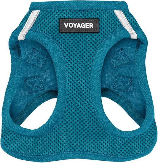 Voyager Step-in Air Dog Harness - All Weather Mesh, Reflective, No Pull Harness for Small, Medium Dogs, Cats - Secure with Hook & Loop Fastener, Buckle, Double D-Rings - Turquoise, M