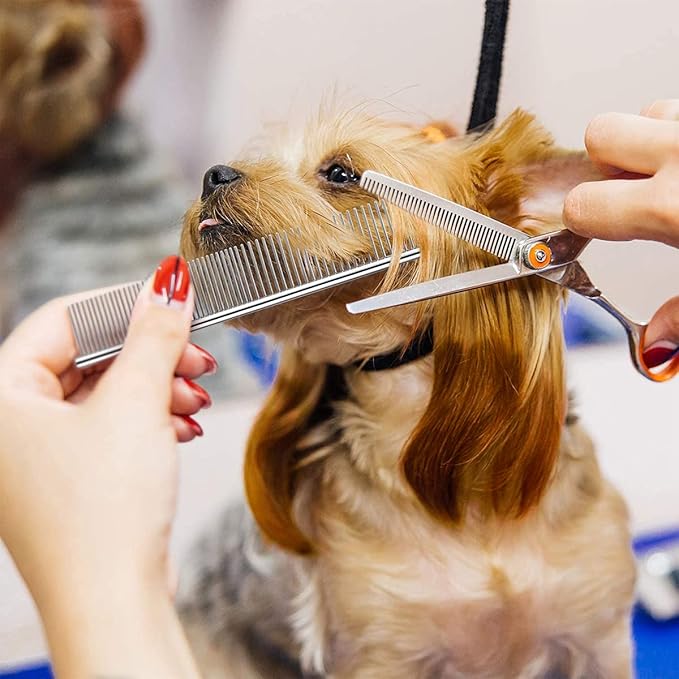 9 Pieces Cat Dog Flea Combs Dog Eye Stain Remover Combs Pets Grooming Comb Dog Tear Stain Comb for Dogs Gently Removing Eye Mucus and Crust