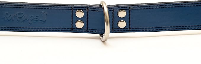 Premium Leather Collars with Stainless Steel Buckles (21"-24", Blue)