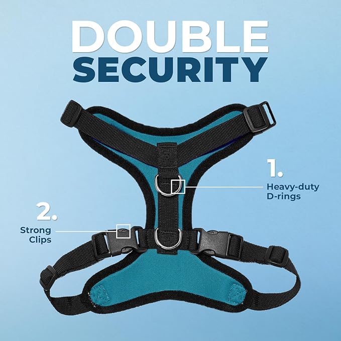 Voyager Step-in Lock Dog Harness w Reflective Dog Leash Combo Set with Neoprene Handle 5ft - Supports Small, Medium and Large Breed Puppies/Cats by Best Pet Supplies - Turquoise/Black Trim, M