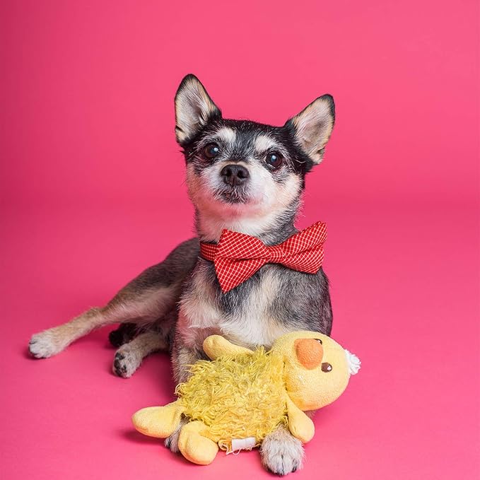 Segarty Dog Bow Tie Plaid, Bowties for Dogs, Adjustable Dog Bow Collar, Pet Grooming Bows for Dogs Cats Boy and Girl Small Medium Large Dogs Wedding Thanksgiving Christmas Costumes Neck Bow Attachment