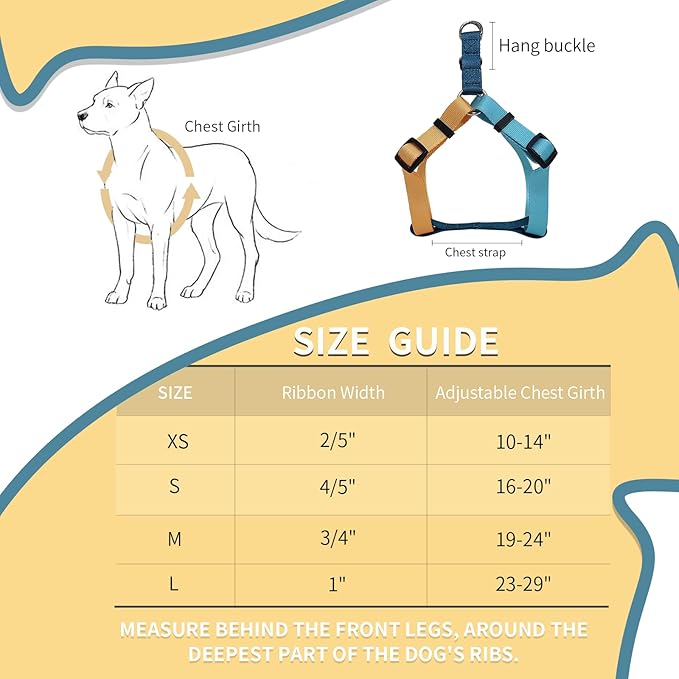 Tri-Color Dog Harness and Purple Pink Gradient Shock Absorbing Dog Leash Set,Step-in Freedom Dog Vest Harness,Strong Padded Handle to Help Stop Pulling for Midium Dog Walking and Traning