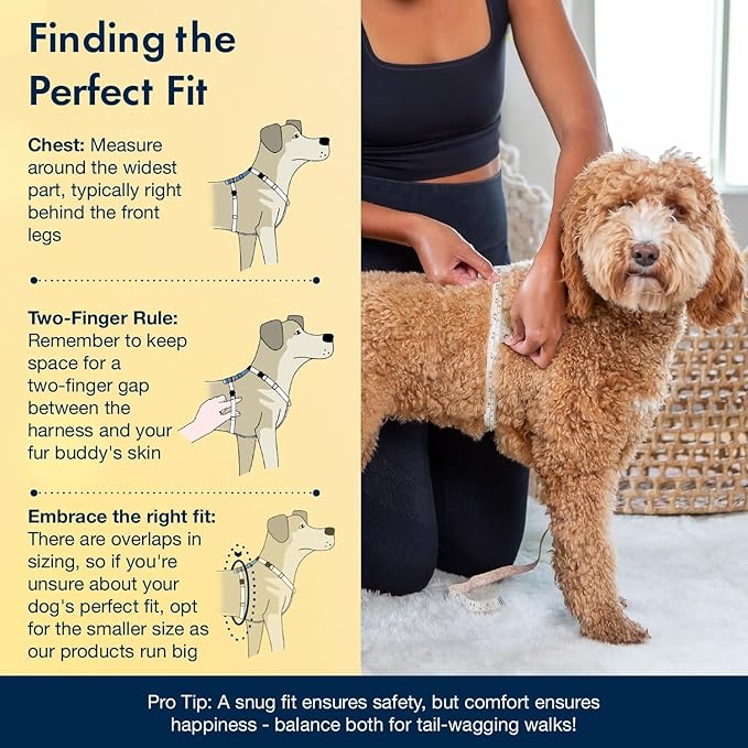 No Pull Harness with Fully Customizable Fitment for XL Dogs - 3M Reflective Heavy Duty Harness for Walking & Training - No Choke Comfortable Collar Design, Made in USA XL-Roy Blue