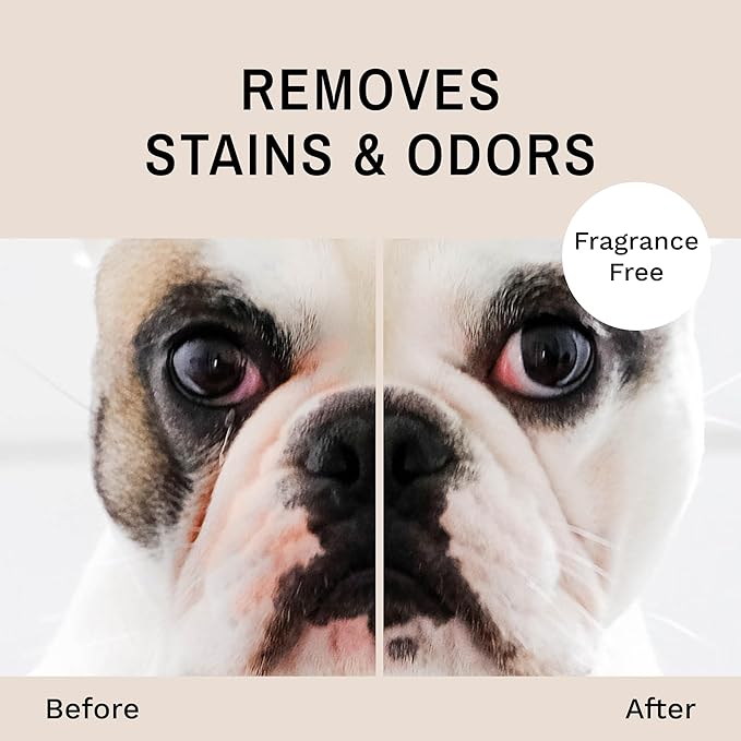 Eye Envy Bulldog Wrinkle Wipes. Wrinkle Wipes for French Bulldog, Pug, English Bulldog. Cleans Wrinkles, Bulldog Tail Pockets. Removes Stains and Odors. Natural, Unscented Wipes. USA Made. 60 Count