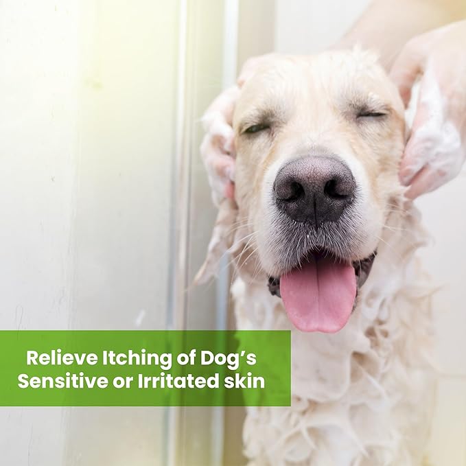 Dog Shampoo and Conditioner - Tearless Dog Shampoo for Cleansing, Grooming, and Conditioning Sensitive Skin - Moisturizing Shampoo for Dogs and Puppies - Fragrance-Free 13.5 oz