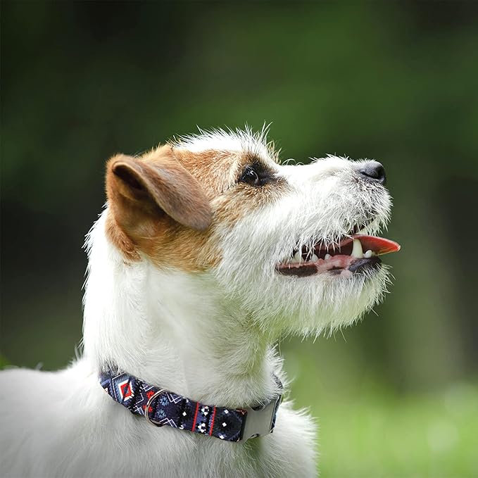 Southwest Dog Collar Tribal Pattern Adjustable Puppy Pet Collars for Small Medium Large Dogs Aztec Print (Aztec, Neck Fit 14"-18")