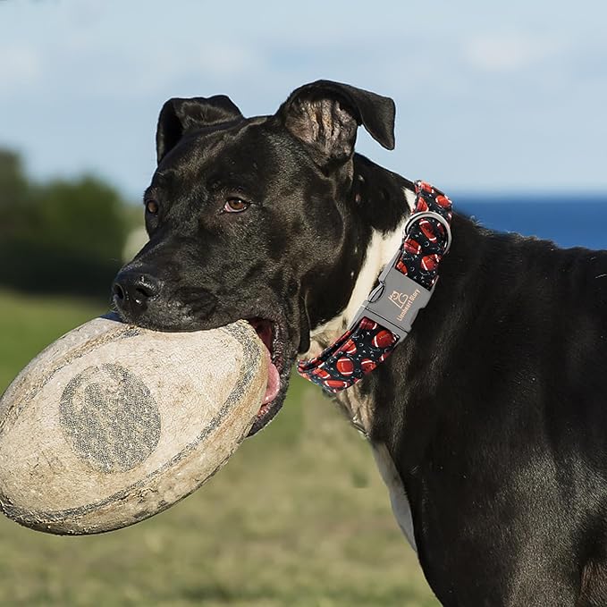 Lionheart glory Dog Collar Rugby Print Dogs Collar Boy Cute Collars Dog Soft Durable Adjustable Comfortable Handmade Dog Collars for Small Dogs Pet Collar Gift