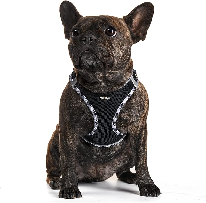 AMTOR Small Dog Harness with Leash Set, No Escape Easy Walk Puppy Harnesses for Training Walking, Step-in Reflective Soft Dogs Vest for XS S Medium Extra-Small Large Sized Dog(Blackwhite,XS)