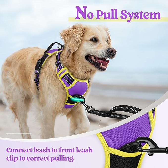 rabbitgoo Dog Harness, No-Pull Pet Harness with 2 Leash Clips, Adjustable Soft Padded Dog Vest, Reflective No-Choke Pet Oxford Vest with Easy Control Handle for Large Dogs, Purple & Yellow, L
