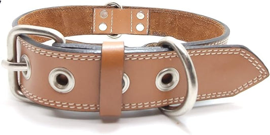 Genuine Leather Dog Collars with Stainless Steel Buckle and Double D Rings – (12"-15", Tan)