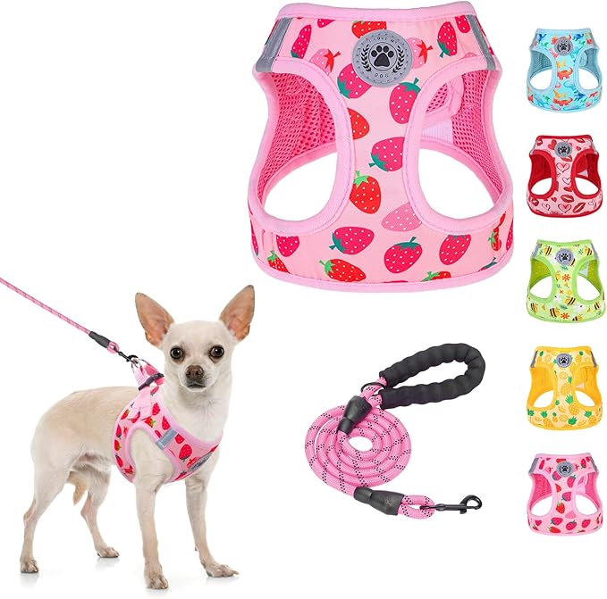 BEAUTYZOO Step in Dog Harness and Leash Set,Reflective Dog Harness No Pull No Choke Puppy Harness for Small Medium Large Dogs Cats,Soft Padded Mesh Vest Harnesses for Girl and Boy Pets, Strawberry S