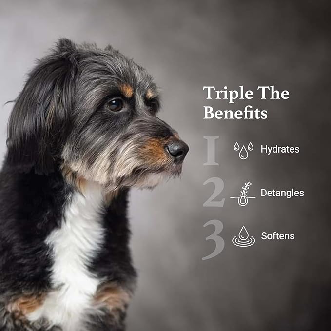 iGroom Silicone Free 3-1 Dog Conditioning/Detangling Spray, Luxury Pet Beauty Care, Hydrating, Paraben and Phthalates Free, Made in USA, 8 oz