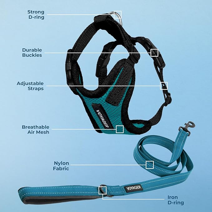 Voyager Step-in Lock Dog Harness w Reflective Dog Leash Combo Set with Neoprene Handle 5ft - Supports Small, Medium and Large Breed Puppies/Cats by Best Pet Supplies - Turquoise/Black Trim, L