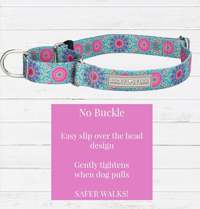 Lucky Love Dog, Boho Chic Martingale Dog Collar for Girl Boy Dogs, Premium No Slip Collar, Vivid Pink and Turquoise Martingale Collar for Dogs (Medium, Clara Mart)