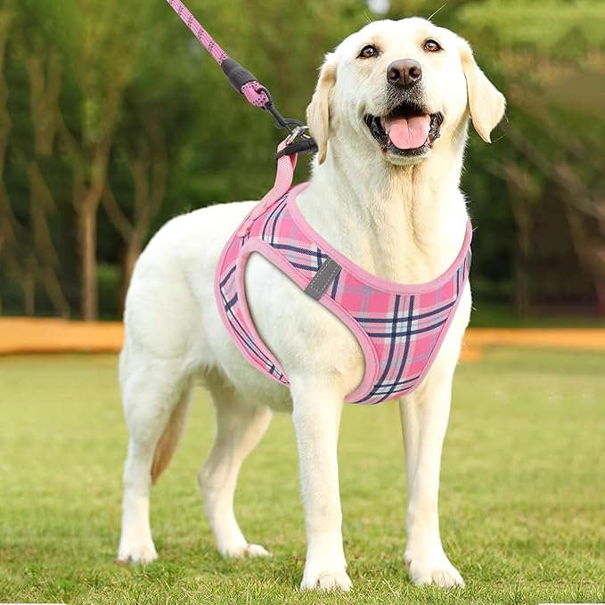 Athena Collection Step-in Dog Harness with 5 ft Leash, Large Dog Harness Leash Set Large No Pull Dog Vest Harness with Reflective Strips Adjustable Velcro, Easy Walk Dog Harness, Pink