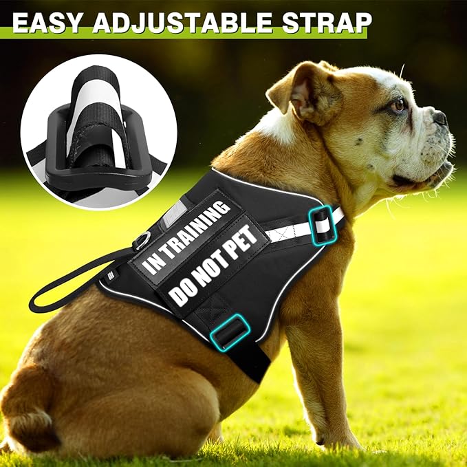 WINSEE Dog Harness & Leash Set, Medium, Black - Reflective, Adjustable, W/ 10 Patches for Service, Therapy Dogs, Extra Durable