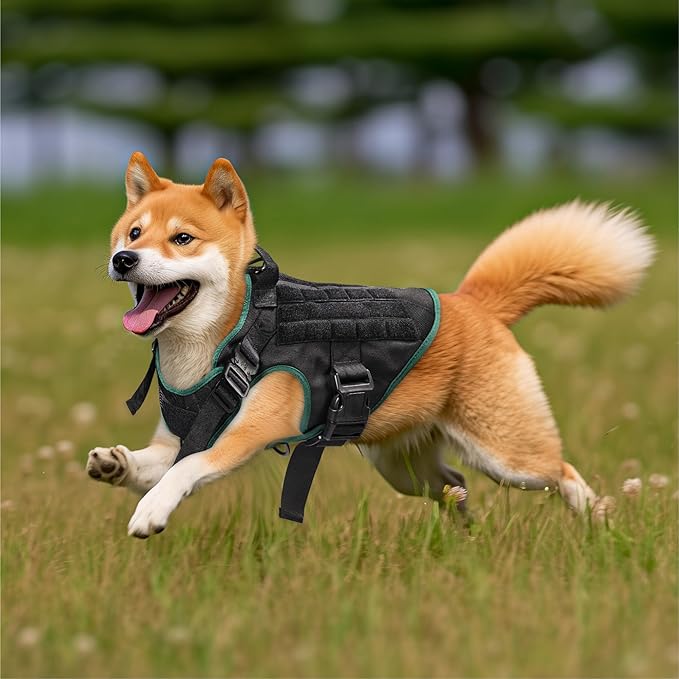 Navaris Tactical Dog Harness and Vest Set - Strong & Adjustable Fit with Metal D Ring, Front Buckles, and Handle - for Military Service Training or Assistance Dogs - Medium