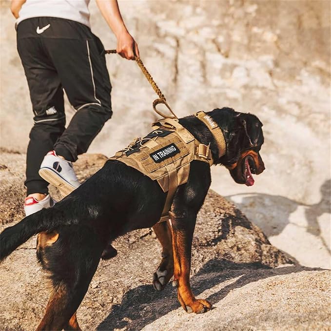 EXCELLENT ELITE SPANKER Dog Harness Tactical Military Dog Harness Adjustable No-Pull Dog Harness Training Hunting Dog Tactical Vest with Handle (L, Ranger Green)